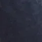שחור מכנסיים אמריקה