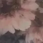 חום חולצה אהבה
