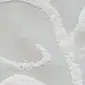 לבן ג'קט טוהר