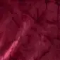 בורדו חולצה מיכאלה בייסיק